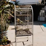 Casa Da Venda By Lethes Legacy פונטה דה לימה